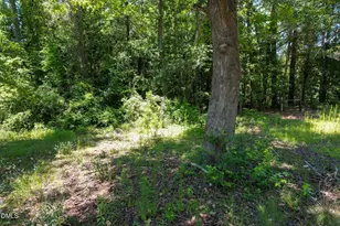 275 Hamer St, Fair Bluff, NC 28439 - Photo 1