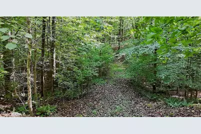 11705 Strickland Road, Raleigh, NC 27613 - Photo 1