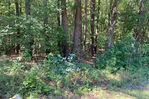 4030 Dooster St, Oxford, NC 27565 - Photo 1
