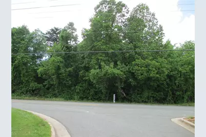 Lot #2 S N Highway 119 Road, Mebane, NC 27302 - Photo 1