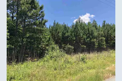 0 Mt Zion Church Road, Apex, NC 27502 - Photo 1