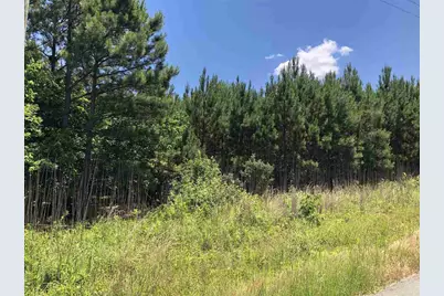 0-0 Mt Zion Church Road, Apex, NC 27502 - Photo 1