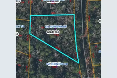 852 Hudsonia Drive, Vass, NC 28394 - Photo 1