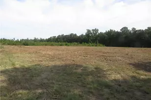 Lot D Survey Dr, Fairmont, NC 28340 - Photo 1