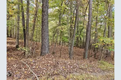 0 Sandy Creek Church Road, Sanford, NC 27330 - Photo 1