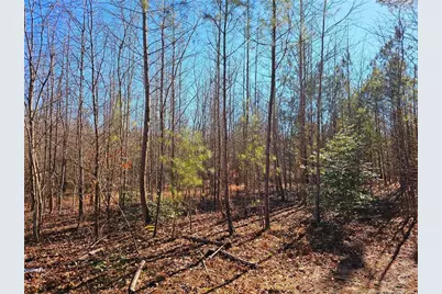 Lot 5 Dragonfly Lane, Sanford, NC 27332 - Photo 1