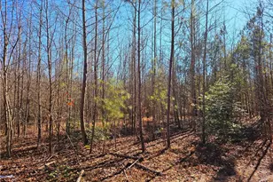 Lot 5 Dragonfly Ln, Sanford, NC 27332 - Photo 1