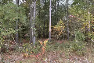 Lot 1 Midway Rd, Maxton, NC 28364 - Photo 1