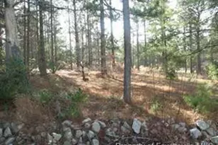 323 Lakeview Dr, Fayetteville, NC 28311 - Photo 1