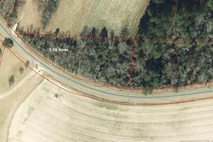 Lot 7 Castleberry Rd, Sanford, NC 27332 - Photo 1