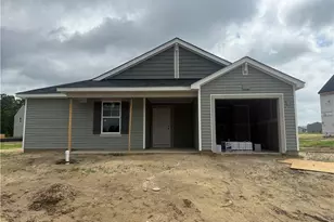 972 Sapphire Stone Ln, Hope Mills, NC 28348 - Photo 1