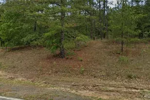 29841 Peach Orchard Rd Lot 4, Wagram, NC 28396 - Photo 1