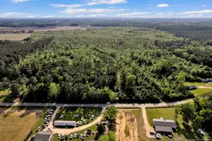 391 & 494 Carroll Store Rd, Autryville, NC 28318 - Photo 1