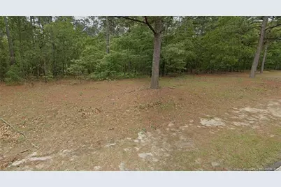 29 Peach Orchard Road, Wagram, NC 28396 - Photo 1