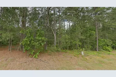 36 Peach Orchard Road, Wagram, NC 28396 - Photo 1