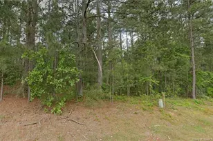 37 Peach Orchard Rd, Wagram, NC 28396 - Photo 1