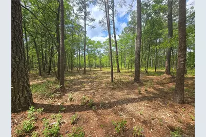 0 Avery Road, Fayetteville, NC 28312 - Photo 1