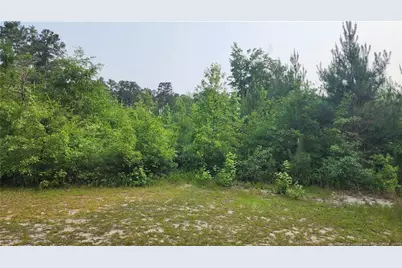 398 Dogwood Trail, Lumber Bridge, NC 28371 - Photo 1