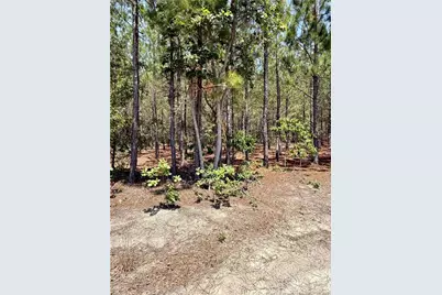 Tbd 2 North Turnpike Road, Wagram, NC 28396 - Photo 1