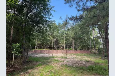 308 Chestnut Drive, Vass, NC 28394 - Photo 1