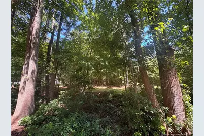 0 Center Church Road, Sanford, NC 27330 - Photo 1