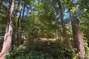 0 Center Church Rd, Sanford, NC 27330 - Photo 1