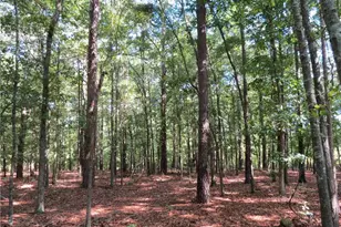 0 Rocky Fork Church Rd, Sanford, NC 27332 - Photo 1