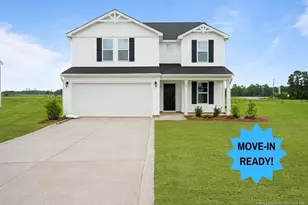 46 Buggy Top Ln Lot 29, Autryville, NC 28318 - Photo 1