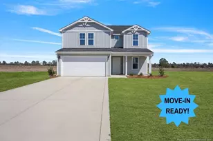 146 Buggy Top (Lot 25) Ln, Autryville, NC 28318 - Photo 1