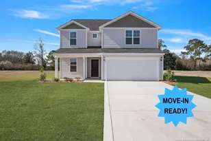 163 Buggy Top (Lot 7) Ln, Autryville, NC 28318 - Photo 1