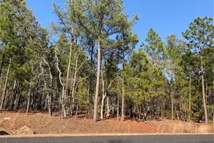 1124 Chicken Plant Rd, Aberdeen, NC 28315 - Photo 1