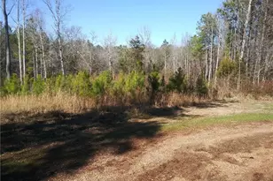 Tbd Hemp St, Robbins, NC 27325 - Photo 1