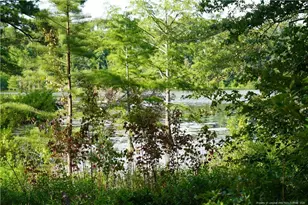 Lot 8 Lakeview Dr, Red Springs, NC 28377 - Photo 1