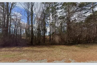 0 S Wilkinson Drive, Saint Pauls, NC 28384 - Photo 1