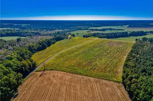 Lot 3 Daniel McLeod Rd, Red Springs, NC 28377 - Photo 1