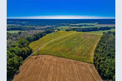 Lot 4 Daniel McLeod Road, Red Springs, NC 28377 - Photo 1