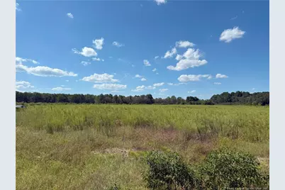Lot 2 Collier Road, Wade, NC 28395 - Photo 1