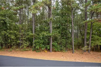 0 Deercroft Drive, Wagram, NC 28396 - Photo 1