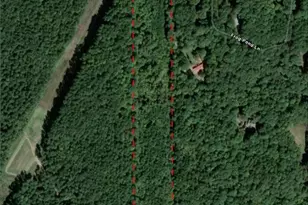 Tbd Lick Creek Rd, Sanford, NC 27330 - Photo 1