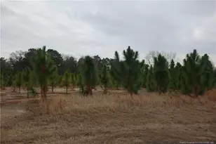 Lot 40 Stuarts Mill Rd, Fairmont, NC 28340 - Photo 1