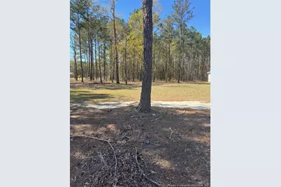 4401 E Huckleberry Drive, Eastover, NC 28312 - Photo 1