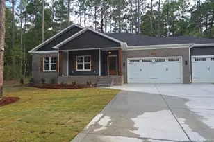 26700 Peach Orchard Rd, Wagram, NC 28396 - Photo 1