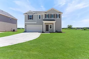 2219 Nahunta Rd, Pikeville, NC 27863 - Photo 1