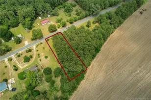 Tbd Quick Rd, Lumber Bridge, NC 28357 - Photo 1