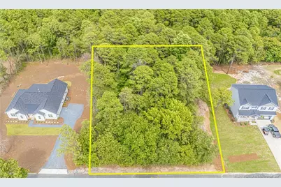 109 Lancashire Lane, West End, NC 27376 - Photo 1