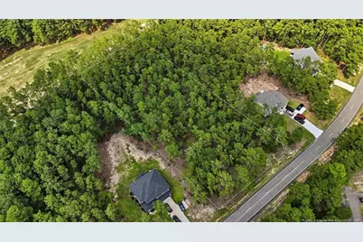29841 Peach Orchard Road, Wagram, NC 28396 - Photo 1