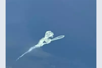 17190 Serengeti Cir, Alva, FL 33920 - Photo 2