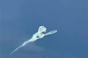 17190 Serengeti Cir, Alva, FL 33920 - Photo 2