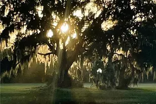 17190 Serengeti Cir, Alva, FL 33920 - Photo 8