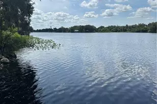 5 Aloe St, Alva, FL 33920 - Photo 36